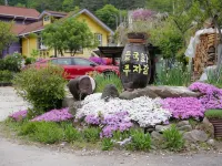 Inje Deulgukwa Pension Hotels near Naerinchon