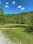 New 2/2 Log Cabin, Rushing Trout Stream, Hot Tub, Fireplace, 8 Acres, WiFi - 3-stjärniga