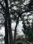 Quaint, quiet tabby cottage under the live oaks Mid Island St. Simons Near Food - 2-Star