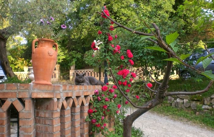 Agriturismo il Quadrifoglio