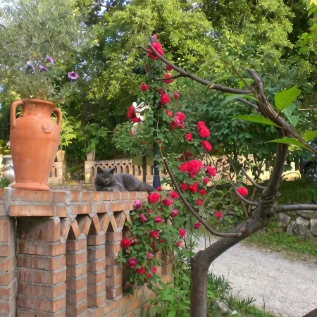 Agriturismo il Quadrifoglio