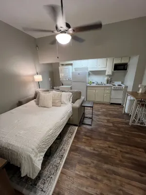 Downtown Starkville Apartment! - Homestays