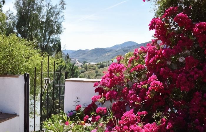 Characterful, Stylish 'Finca' with Heated Pool & Mountain Views (Beach 25 mins)