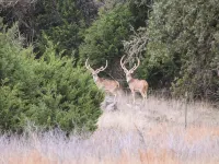 Hill Country Getaway with great views Hotels in Real County