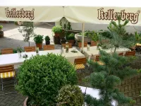 Hotel Restaurant Roter Ochsen - Parkplatz