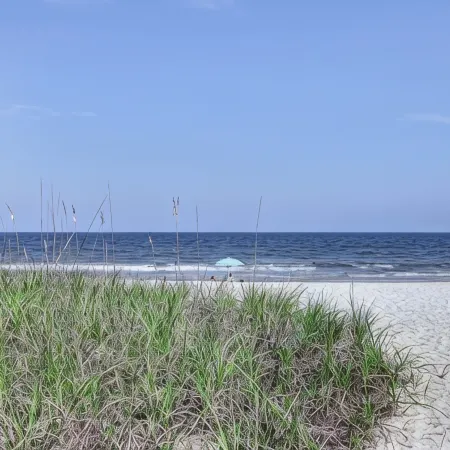 Oceanfront Ground-20% Discount on Nightly Rates Through January ‘27