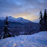 Alaskan Homestead Cabin Featured on Discovery & History Channel - Chalets