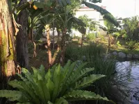 Terreza's Place