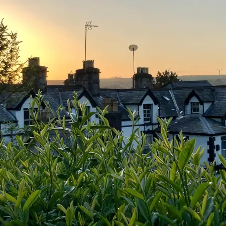 Bron-Y-Graig