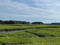 Charming cottage w/ loft on 3 acres of secluded marsh and 7 minute walk to beach - 3-Star