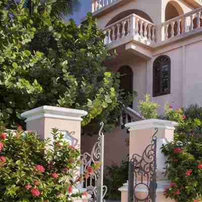 Luxury 250' long Beachfront-Pool,Horse Fountain, Snorkeling, Volleyball & Chef! Hotel Exterior