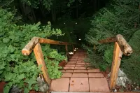 Boutique Hotel Forest Retreat - Villas