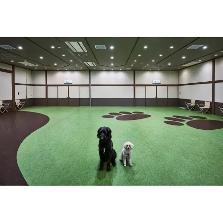 Ｄｏｇｇｙ’ｓ　Ｃｏａｓｔ　Ｏａｒａｉ