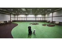 Ｄｏｇｇｙ’ｓ　Ｃｏａｓｔ　Ｏａｒａｉ - 2-Star