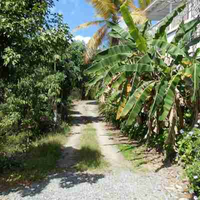 Best-Priced 1BR on Stj! Perfect Location W/ Ocean View & Pool! Hotel Exterior