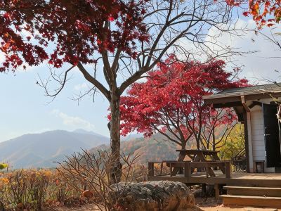 Morning Pension in Gimcheon Mountain