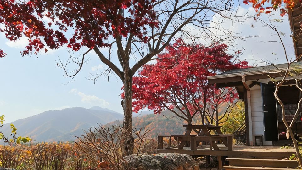 Morning Pension in Gimcheon Mountain