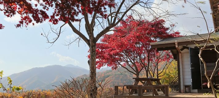 Morning Pension in Gimcheon Mountain Hotels in Gimcheon-si