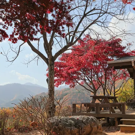 Morning Pension in Gimcheon Mountain