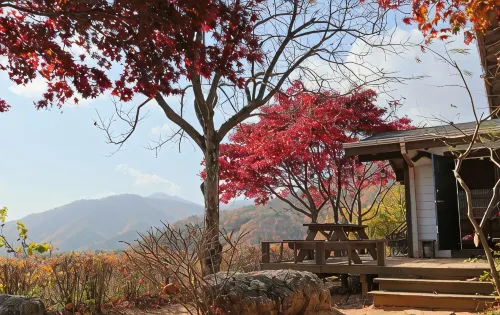 Morning Pension in Gimcheon Mountain - 2-Sterne