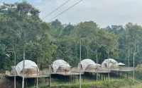 Dmangku Farm Mancak Serang - bar