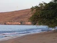 Oceanfront Create Forever Memories, Panoramic Views; 2 Bdrm, 2 Bath, Central A/C - Beach