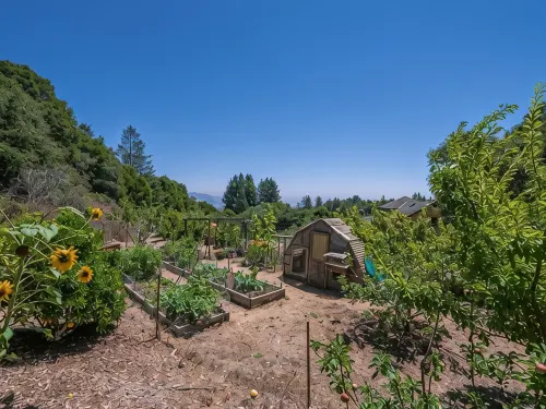 Monterey Bay Farm Retreat! Best Access to Monterey & Santa Cruz Attractions. - Homestays