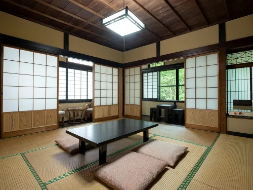 Ryokan Shinseikan - avec sources thermales