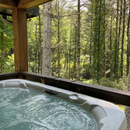 Relaxing Bright Mountain Getaway w/ Hot tub - Newly Renovated Cashiers Area Home