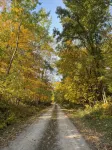 Westby Hideaway: Charming & Cozy 2-Bedroom Cabin on a Peaceful Dead-End Road. - Alphydda
