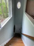 Large Open Suite nestled among the Trees - Boutique
