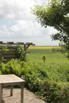 Fantastic thatched cottage on the North Sea coast with a separate sauna house - Wi-Fi