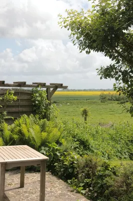 Fantastic thatched cottage on the North Sea coast with a separate sauna house - Wi-Fi