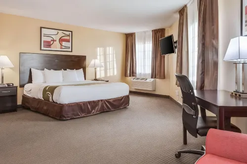 Quality Inn & Suites - Gym