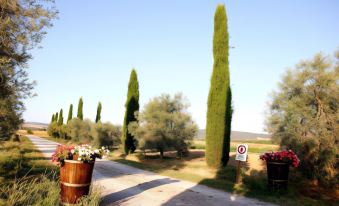 Agriturismo Al Vermigliano