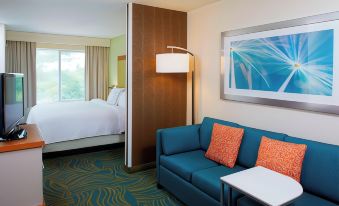 SpringHill Suites Atlanta Six Flags