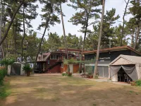 Taean Pinewood Beach Pension