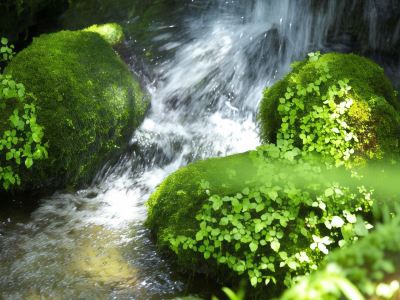 ホテル周辺 草津温泉望雲の写真