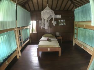 Green Paddy Hostel & Villa