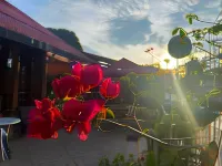 Casa Hotel Mateguadua Các khách sạn ở Apartado