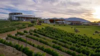 Hotel Vinícola Parvada by Lumina Hotels in Парас де ла Фуенте