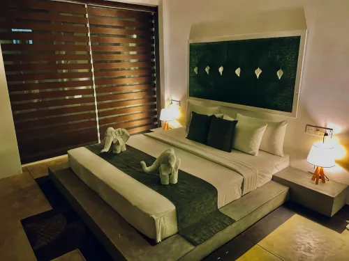 8 Plus Motels - สัตว์เลี้ยง