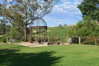 Angaston Vineyards Motel - WiFi