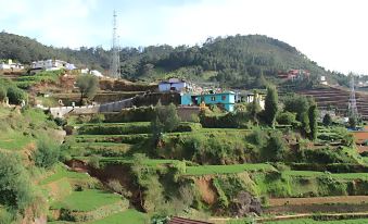 Golden Springs