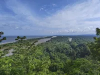 Hospedaje Meryscar Bienvenidos Nómadas Digitales Hotels in Tortuguero