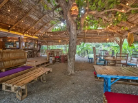 Playa 506 Beachfront Hostel Hotels in Cocles