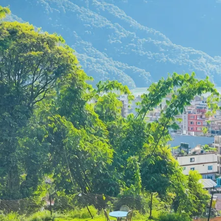 Hotel Tourist Residency and Homeland Forest Villa