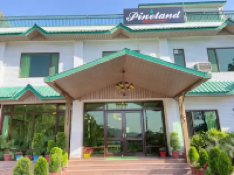 Pineland Resort and Chalets