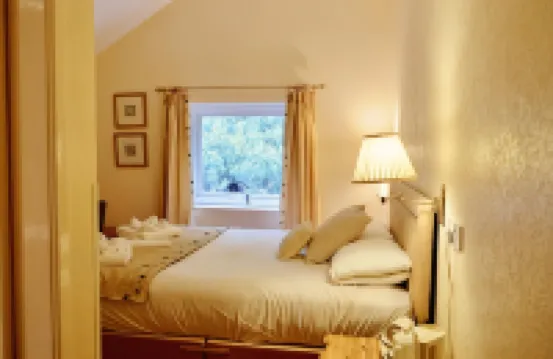 Tyn-y-Coed Inn Hotels in 