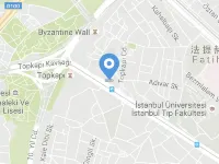 Holiday Inn ISTANBUL CITY by IHG Hotels near Topkapi